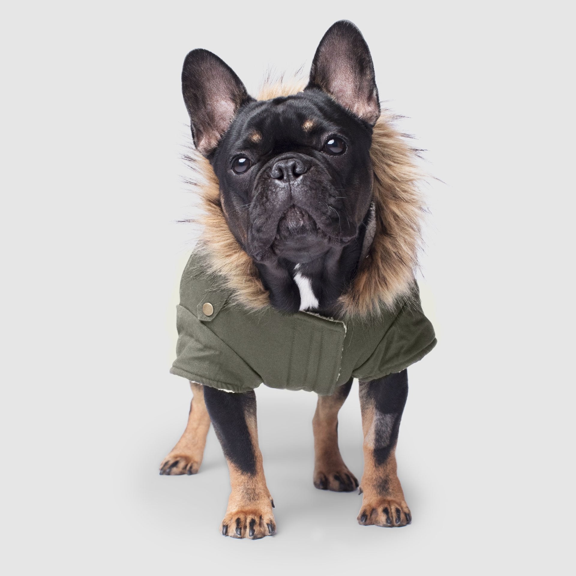 Alaskan Army Parka - 9H12