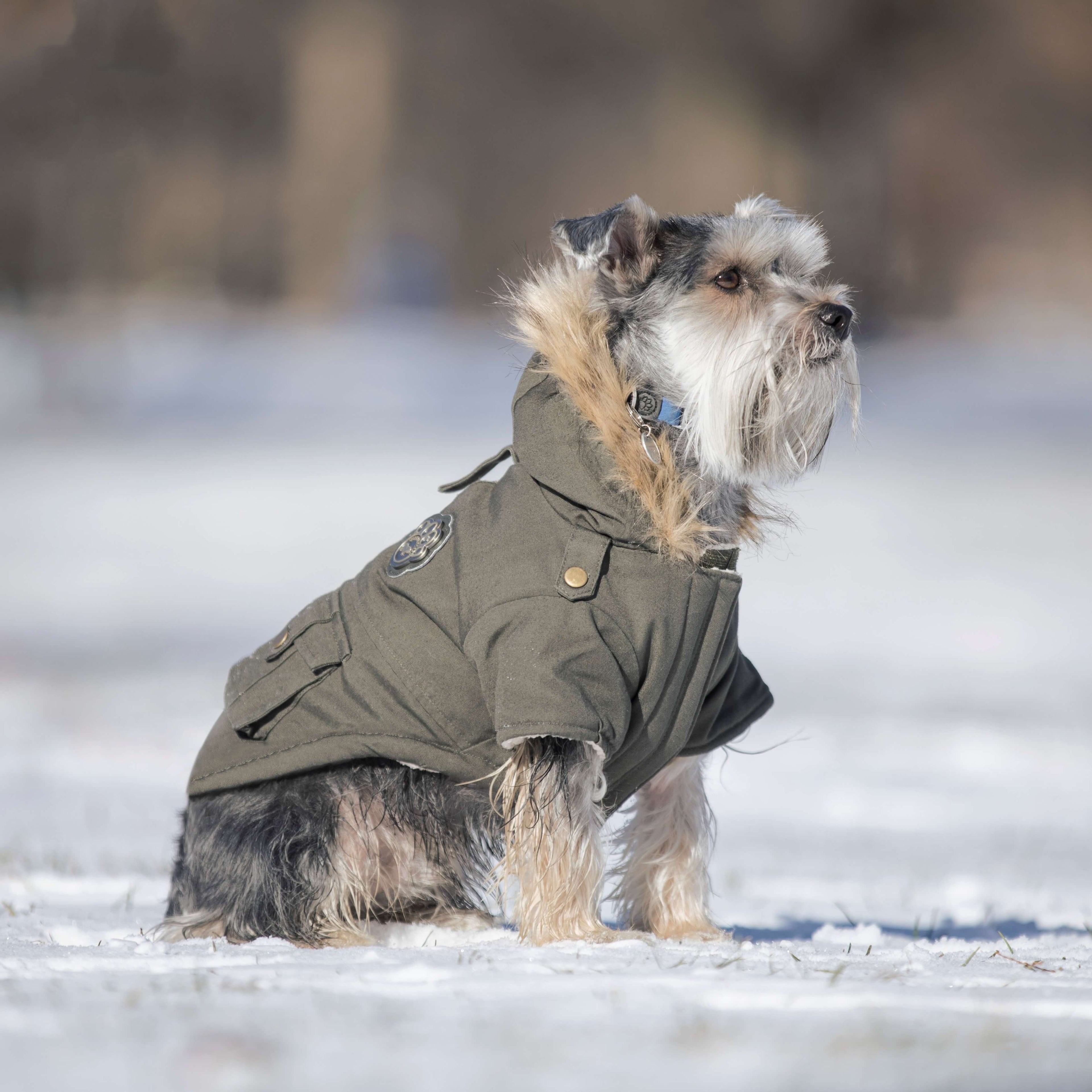 Alaskan Army Parka - 9H12