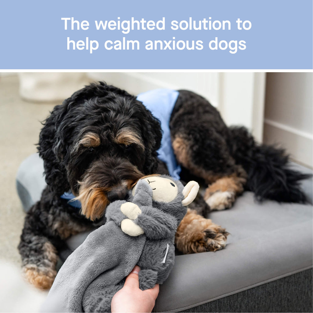 Weighted Calming Toy - M32A