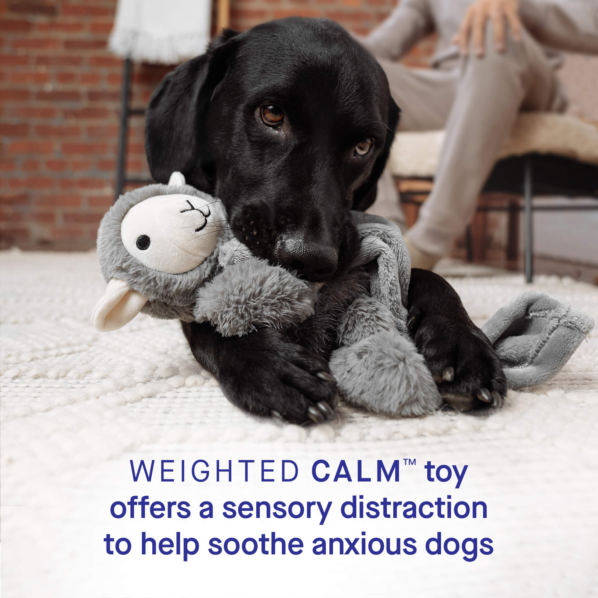 Weighted Calming Toy - M32A
