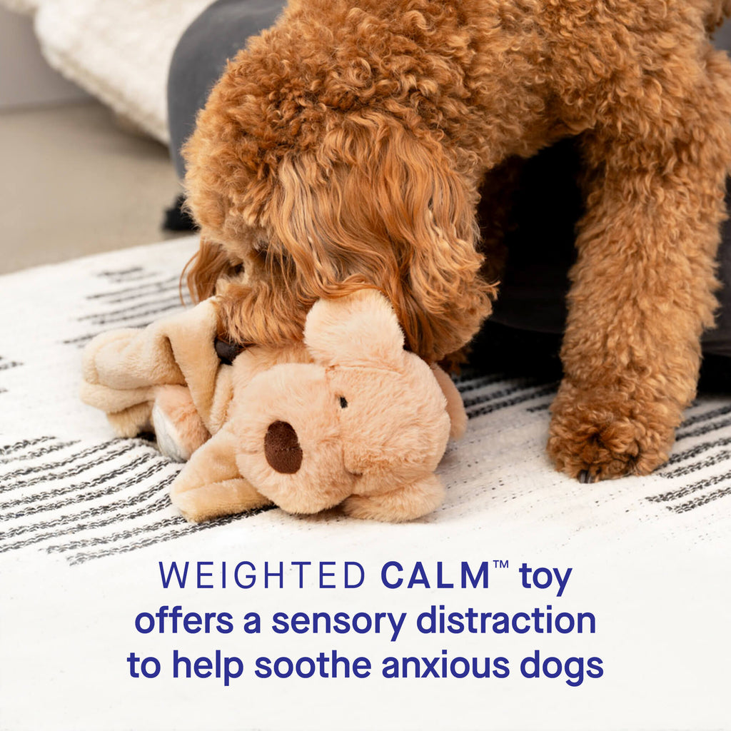 Weighted Calming Toy - M32A