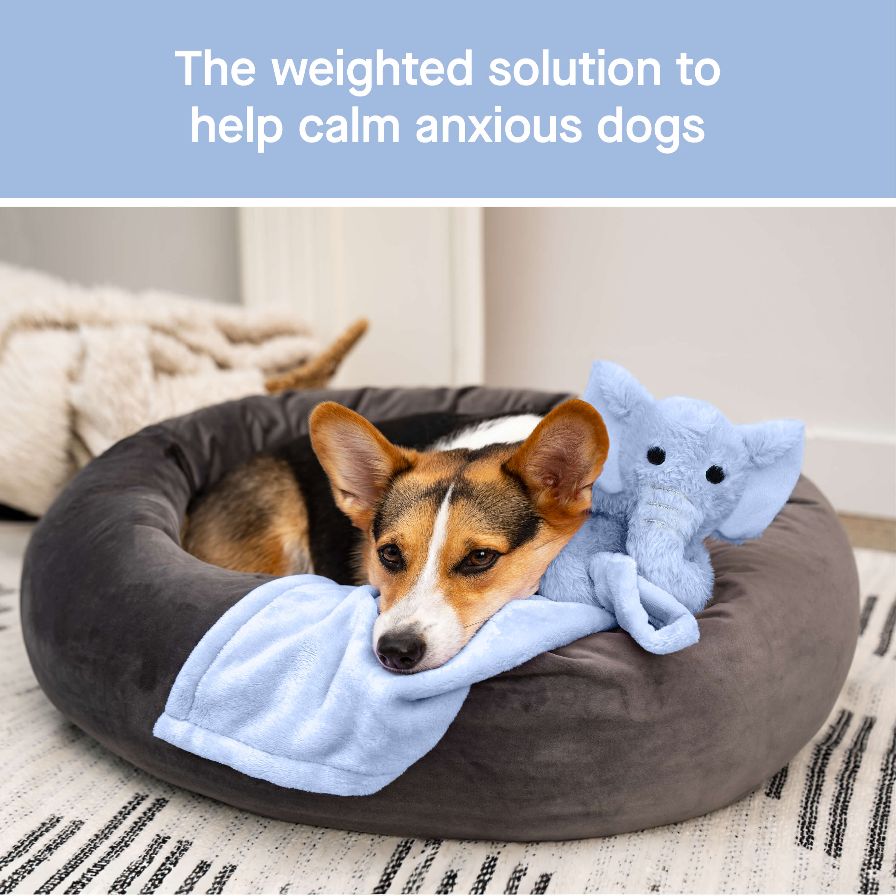 Weighted Calming Toy - M32A