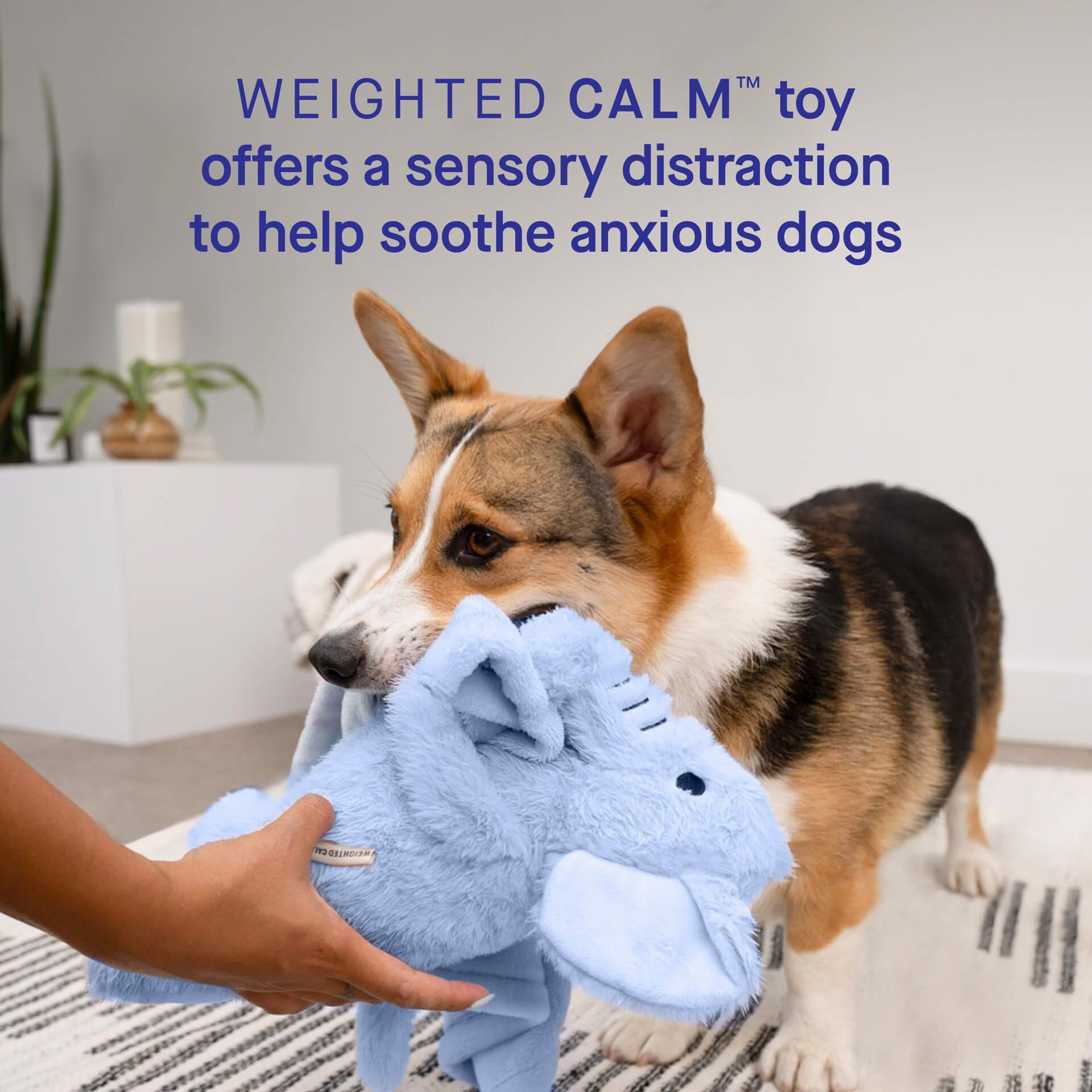 Weighted Calming Toy - M32A