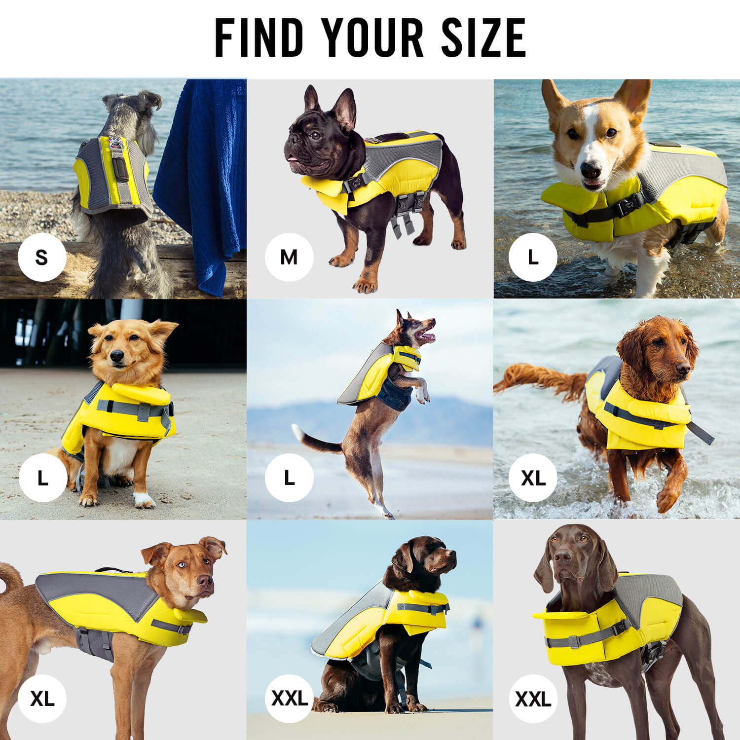 Wave Rider Life Jacket - VQR1