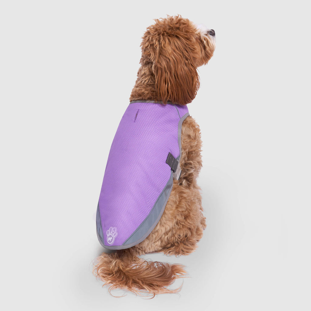 Chill Seeker Cooling Vest Wet Reveal - 4XNN