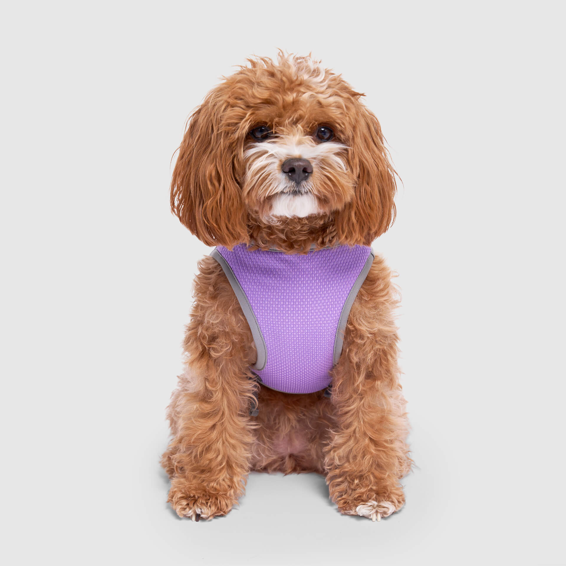 Chill Seeker Cooling Vest Wet Reveal - 4XNN