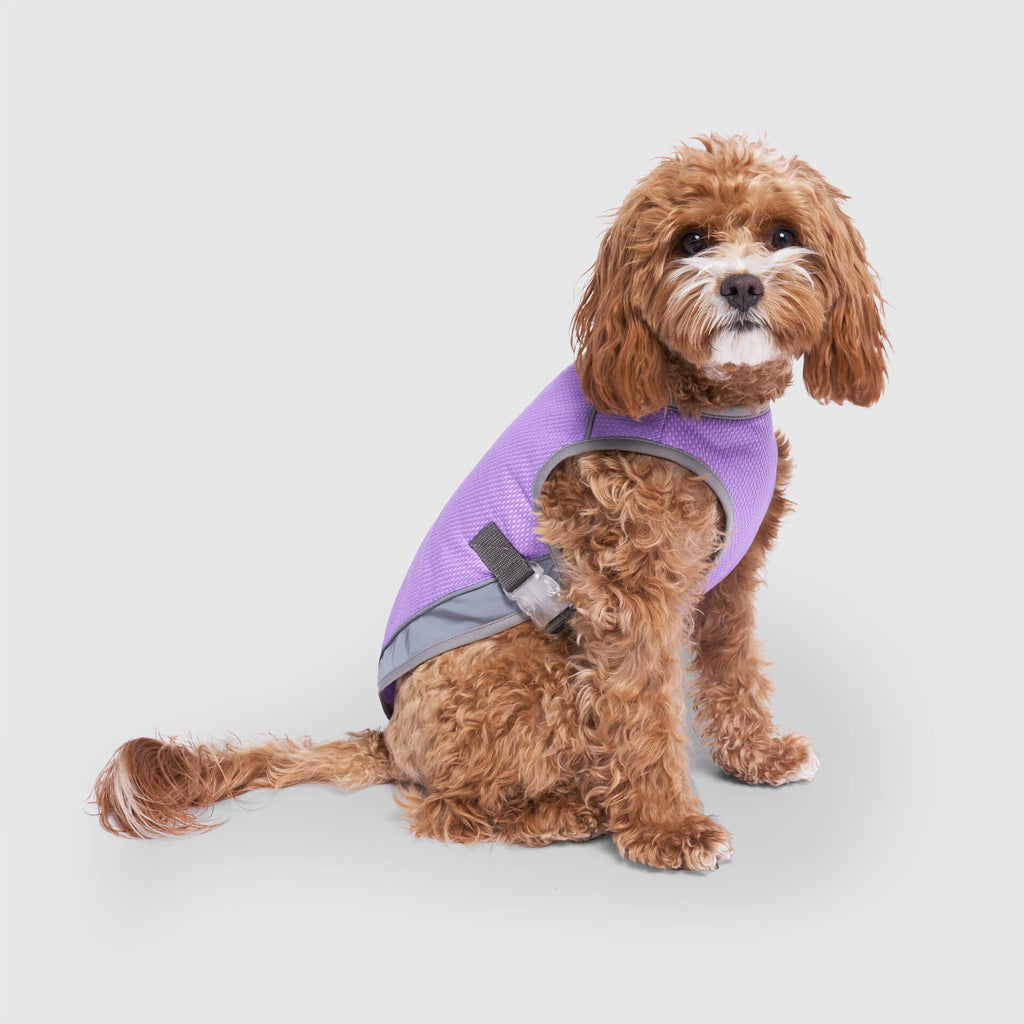Chill Seeker Cooling Vest Wet Reveal - 4XNN