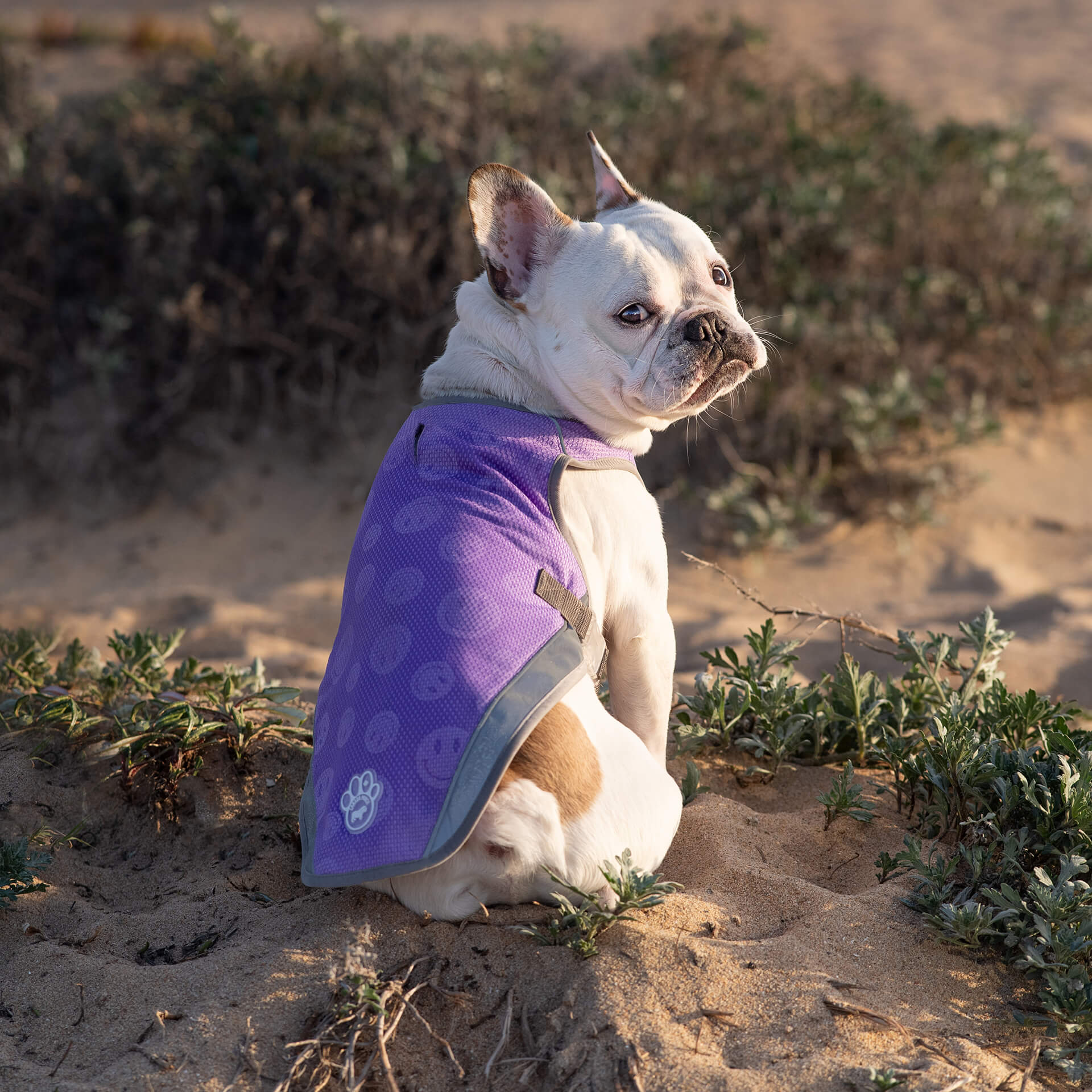 Chill Seeker Cooling Vest Wet Reveal - 4XNN