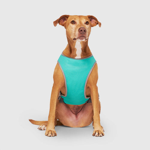 Chill Seeker Cooling Vest Wet Reveal - 4XNN