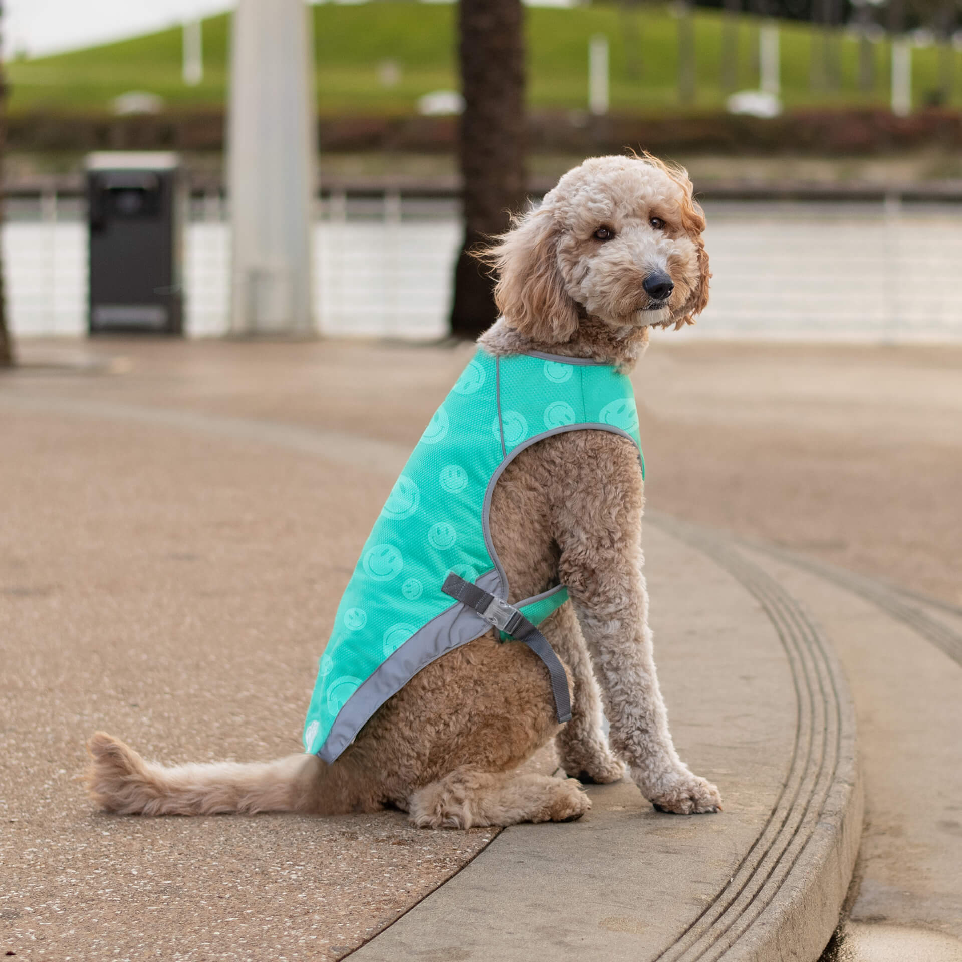Chill Seeker Cooling Vest Wet Reveal - 4XNN