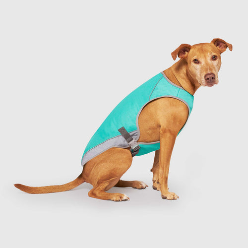 Chill Seeker Cooling Vest Wet Reveal - 4XNN