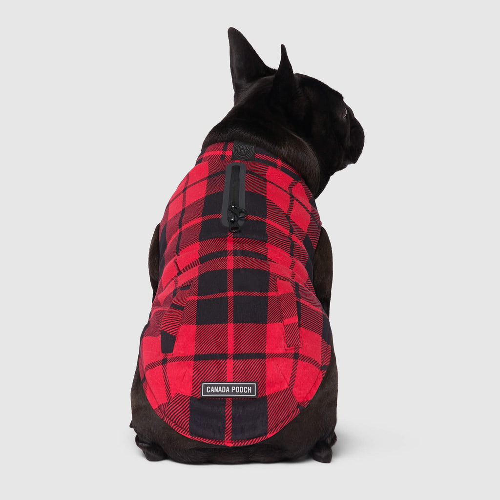 Thermal Tech Fleece - AQSX