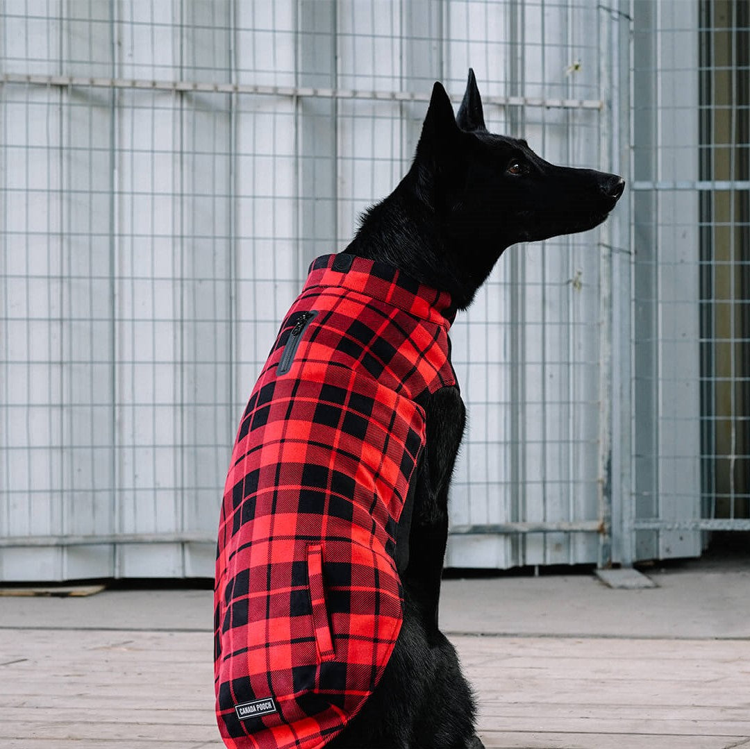 Thermal Tech Fleece - AQSX