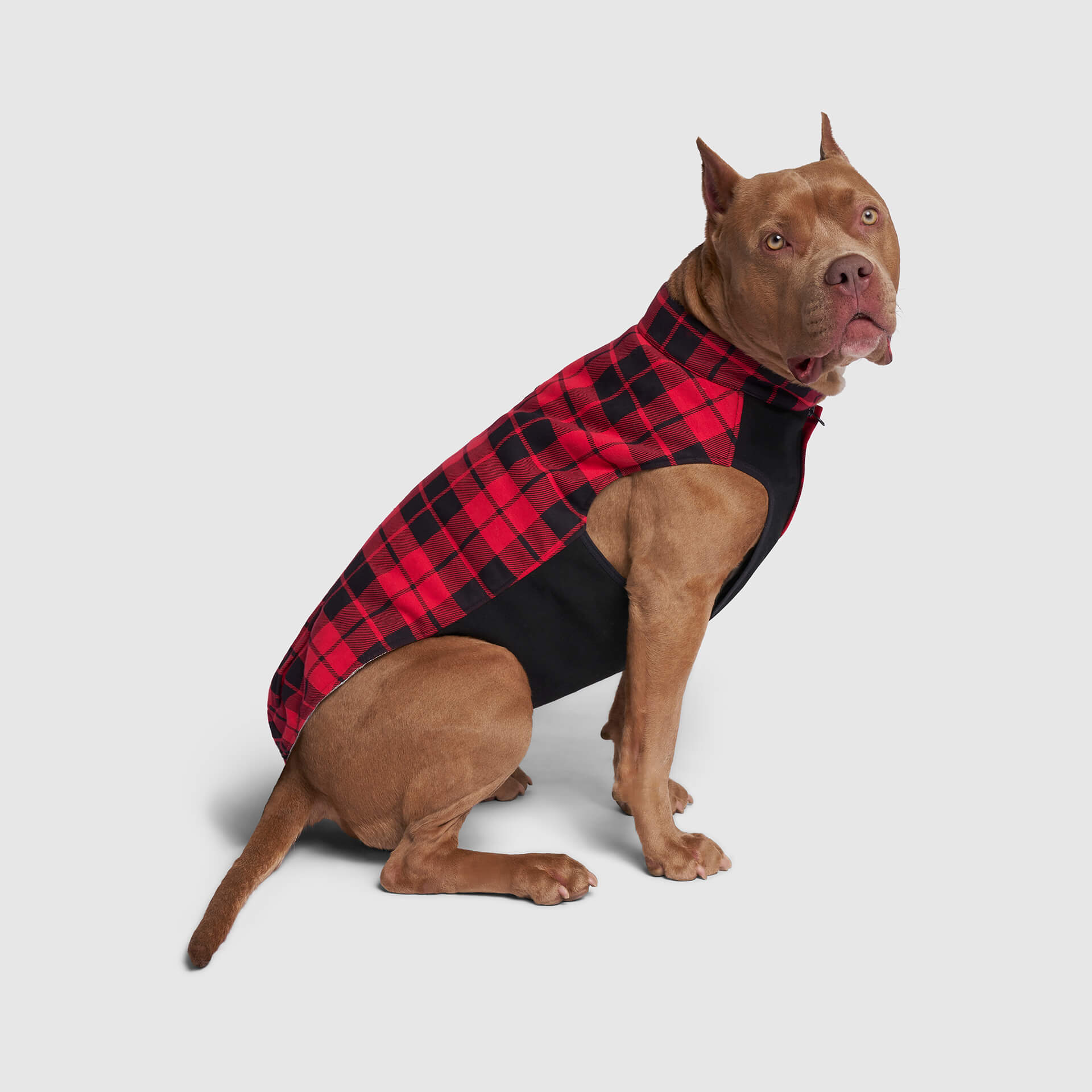 Thermal Tech Fleece - AQSX