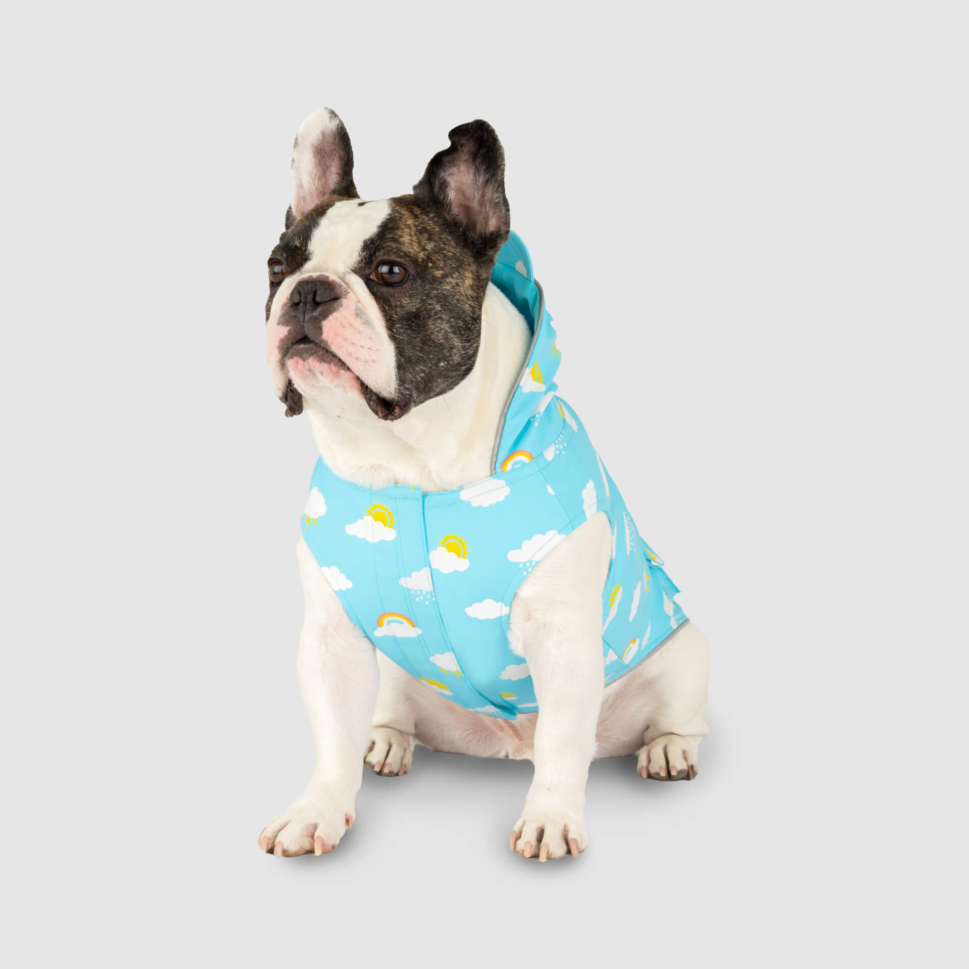 Wet Reveal Torrential Tracker - LU3S