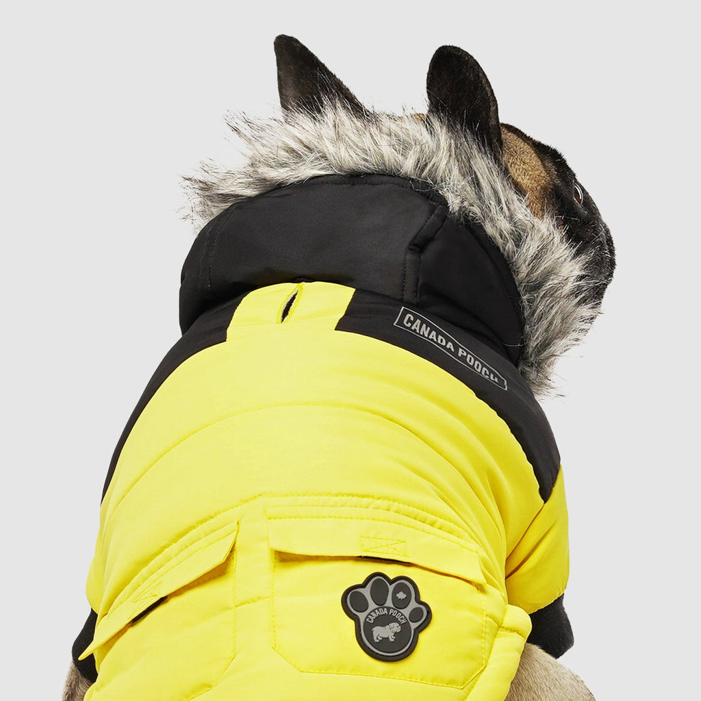 True North Parka - RVAW