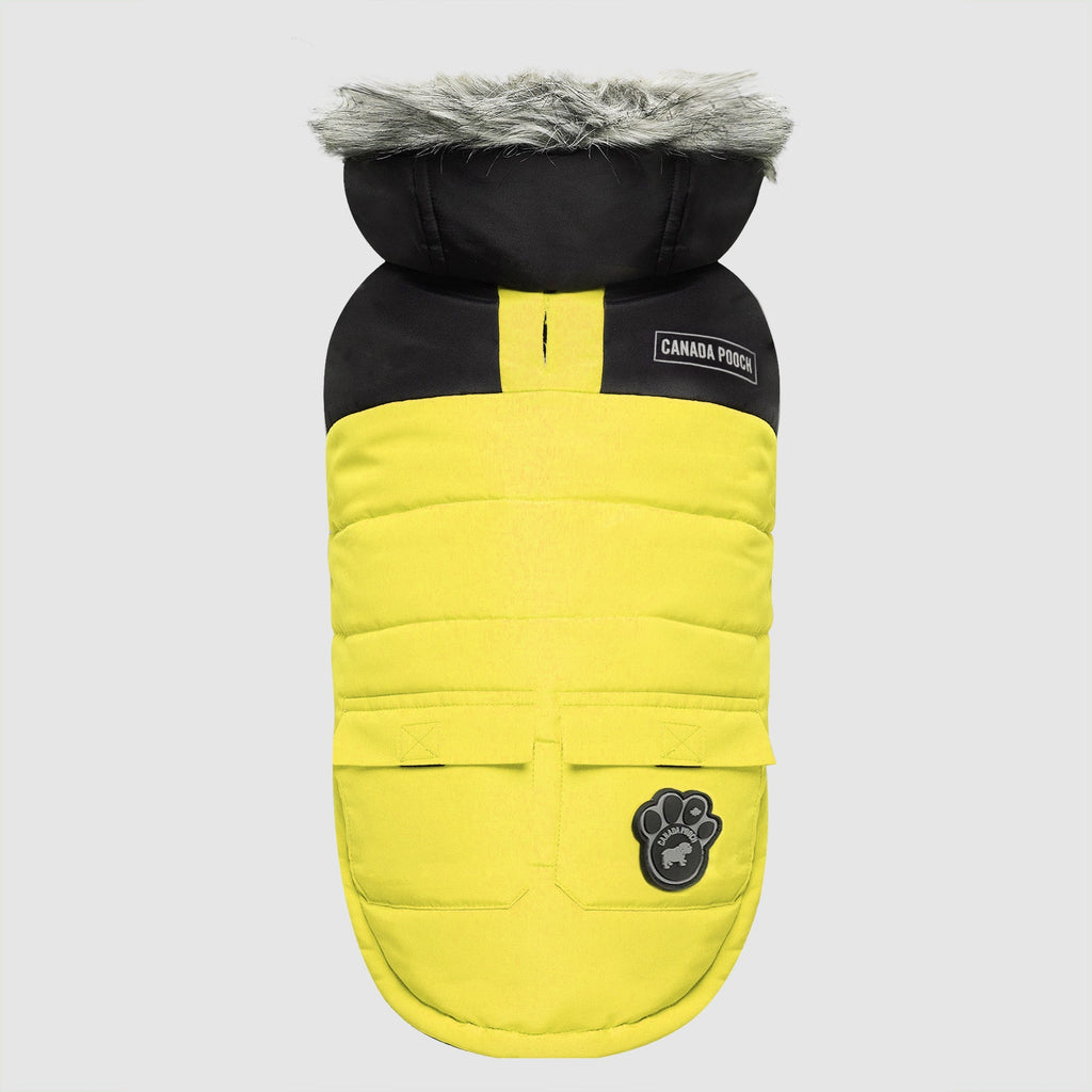 True North Parka - RVAW