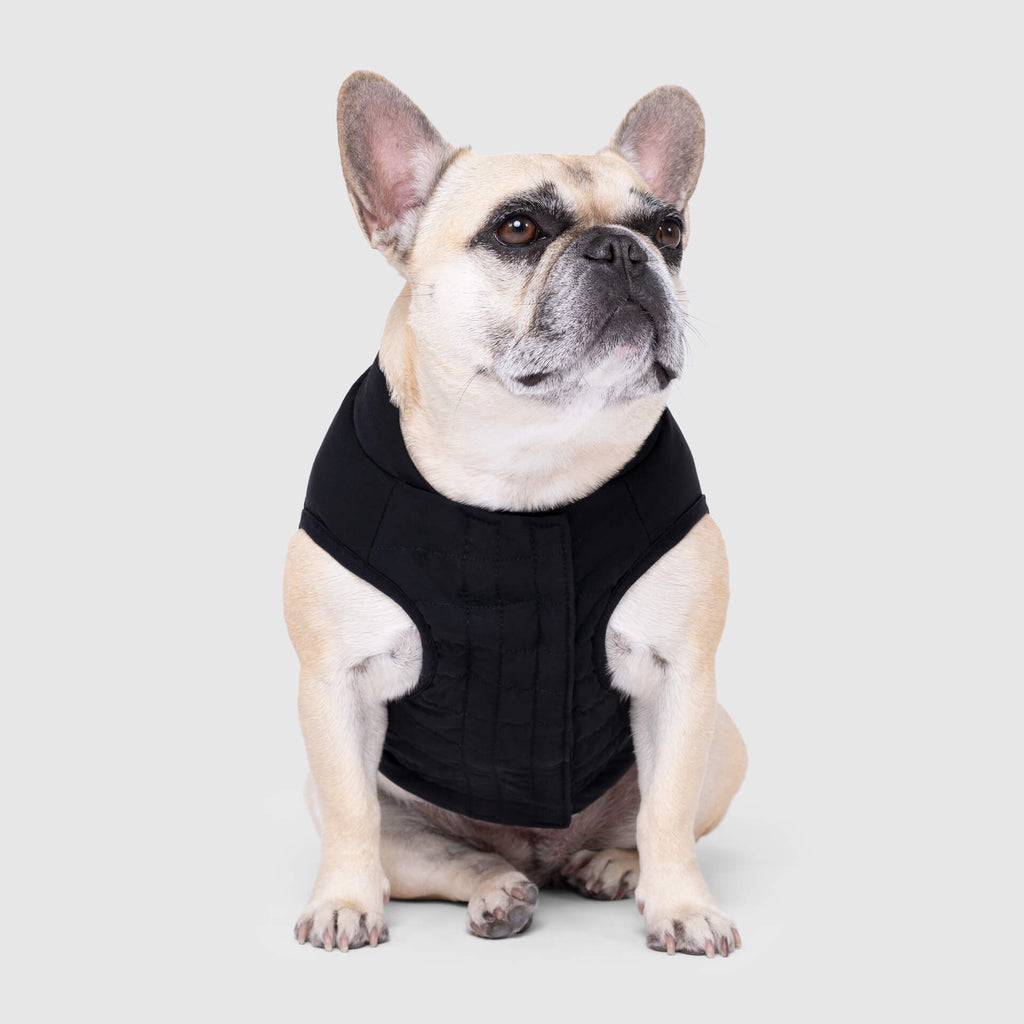 Ultimate Stretch Vest - R2D1