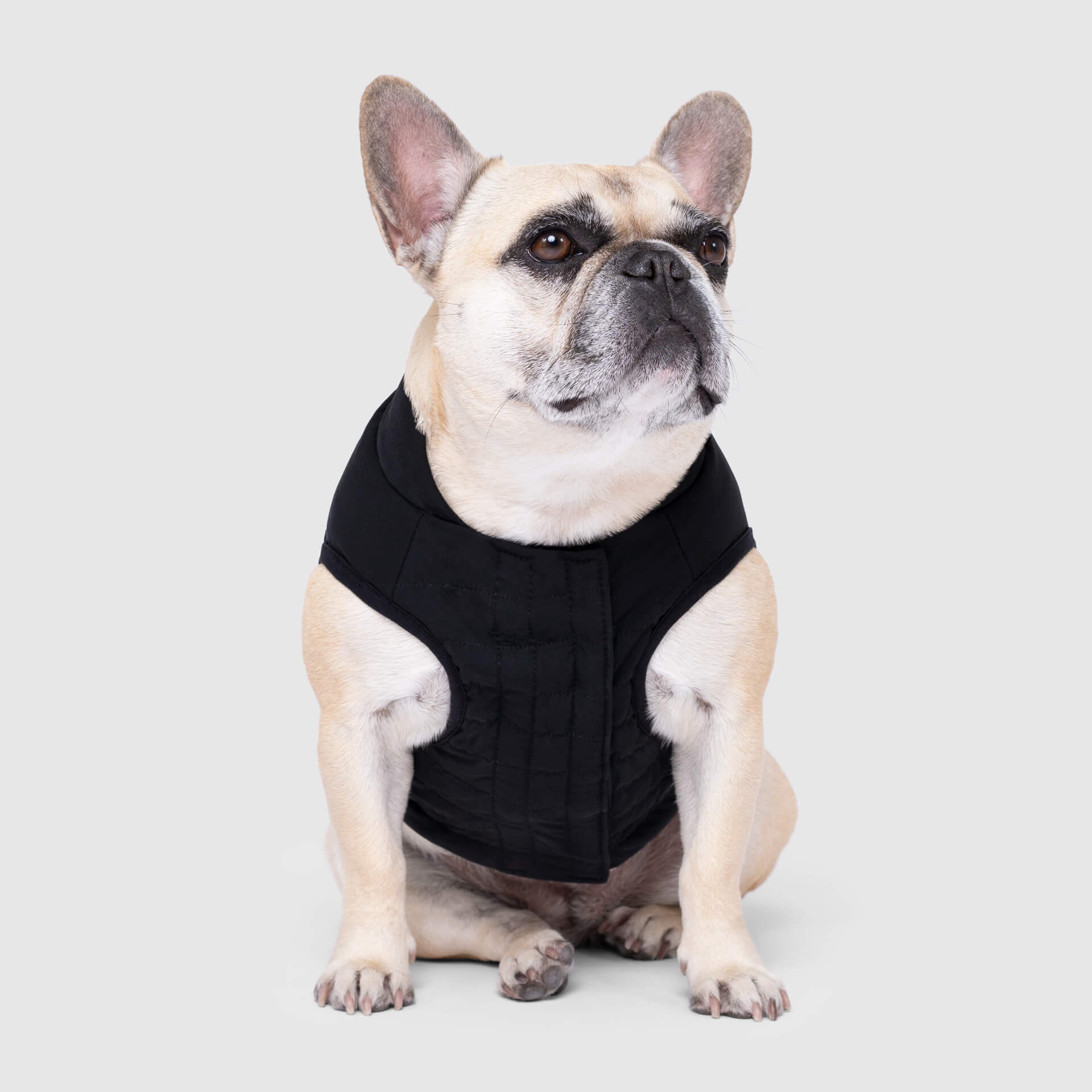 Ultimate Stretch Vest - R2D1