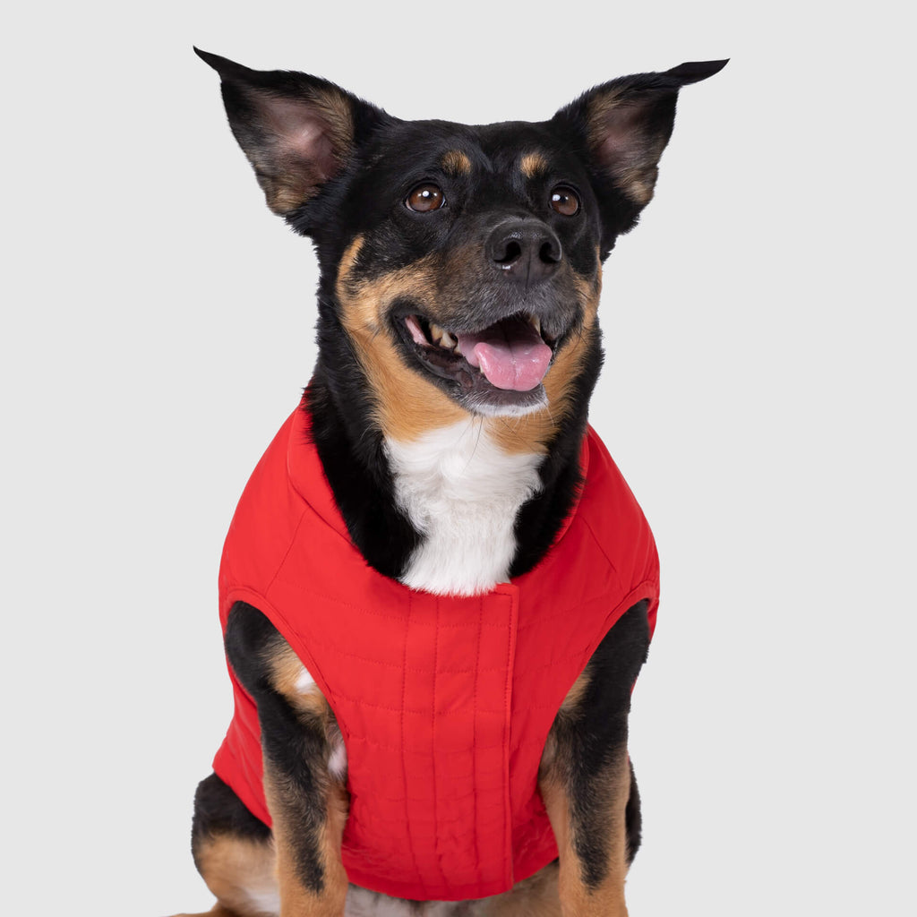 Ultimate Stretch Vest - R2D1