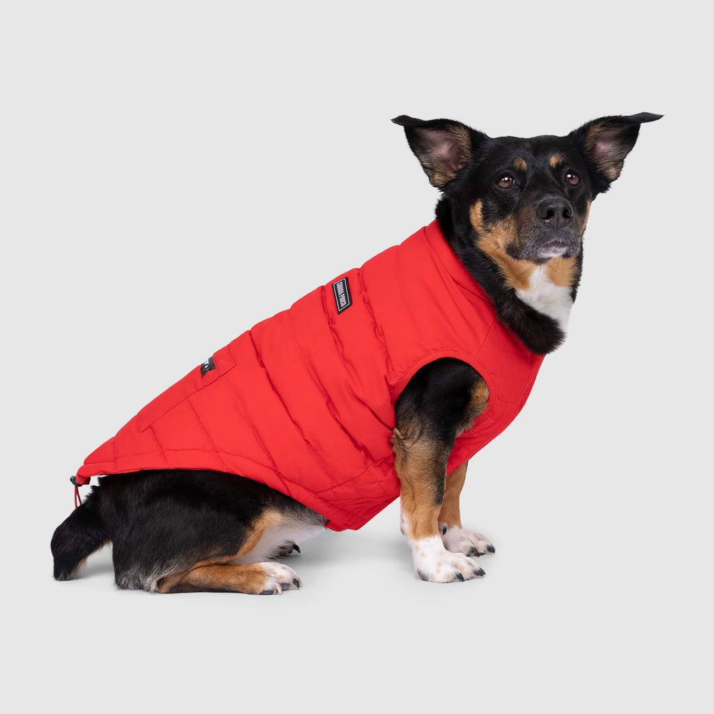 Ultimate Stretch Vest - R2D1