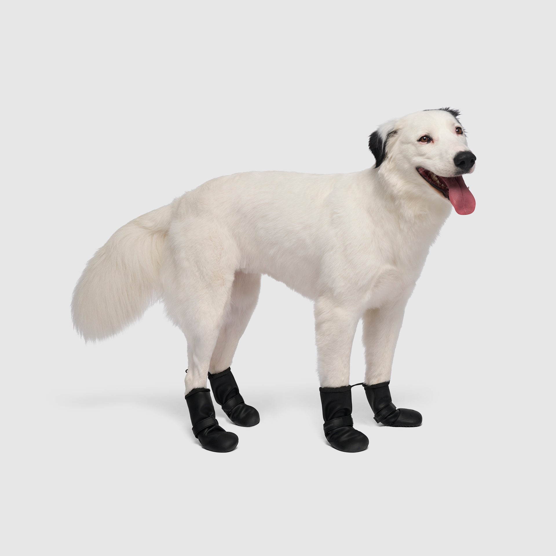 Waterproof Rain Boots - 8YZL