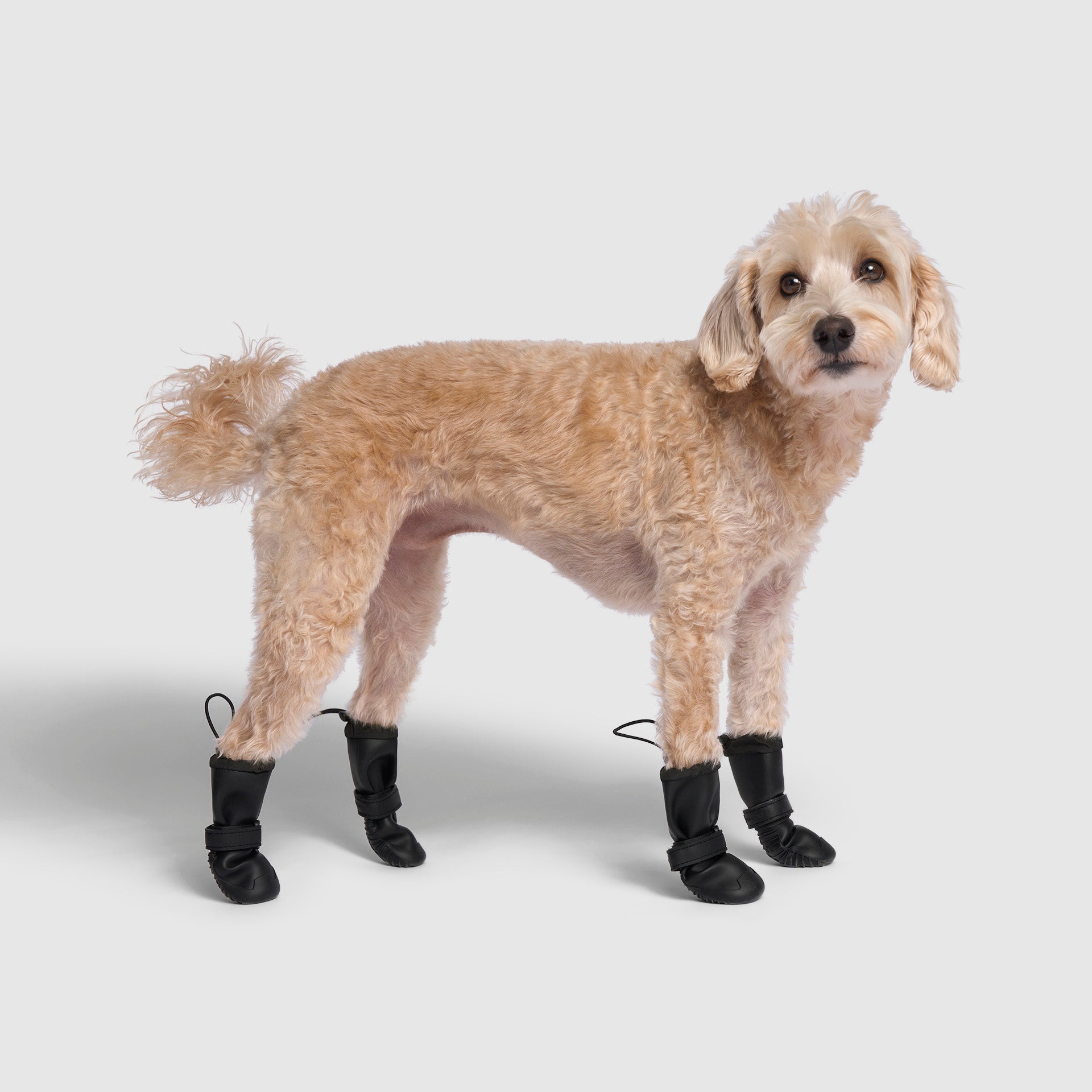 Waterproof Rain Boots - 8YZL