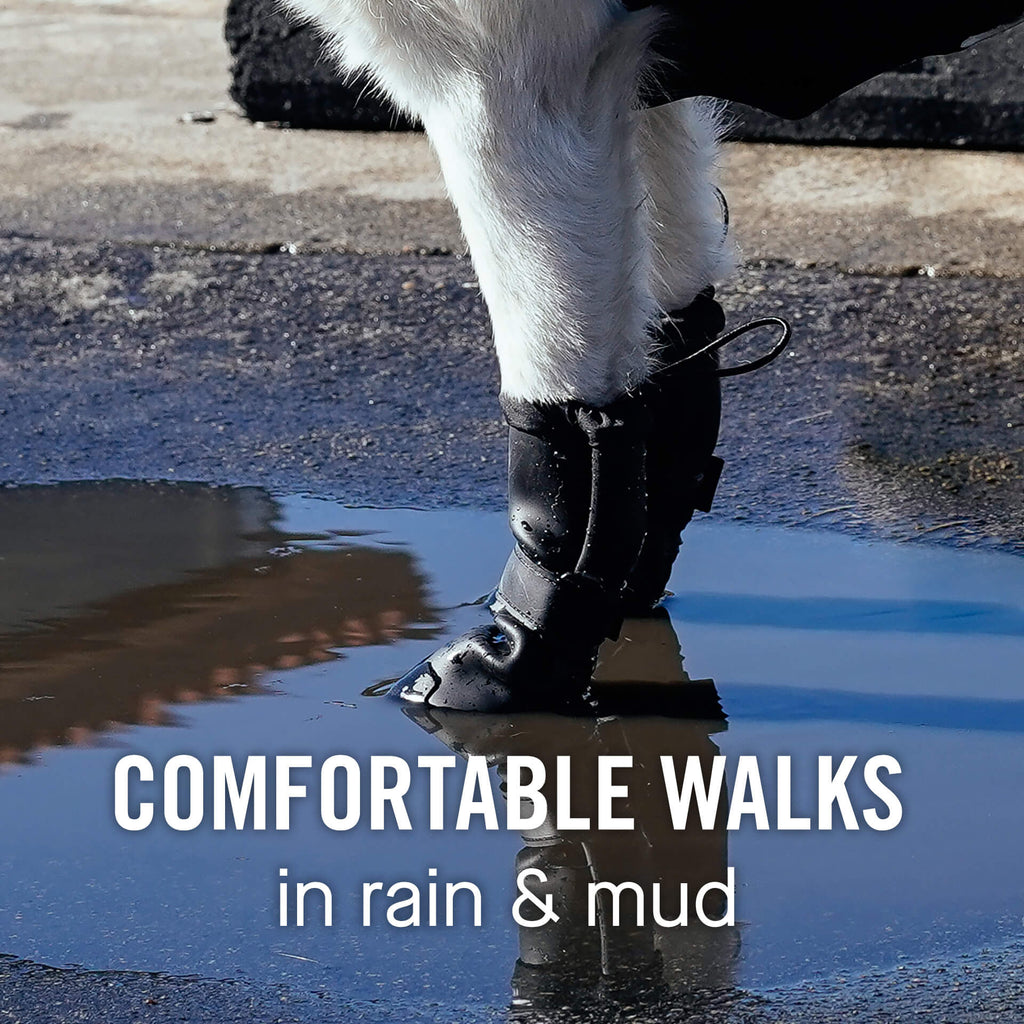 Waterproof Rain Boots - 8YZL