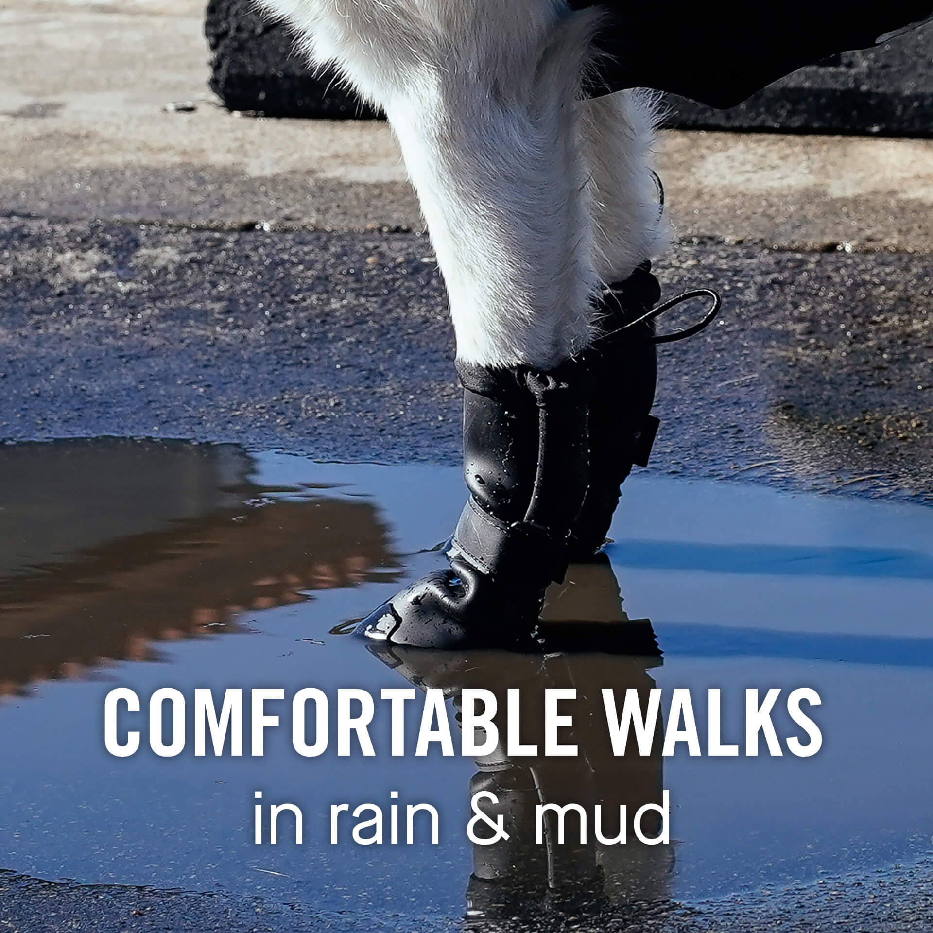 Waterproof Rain Boots - 8YZL