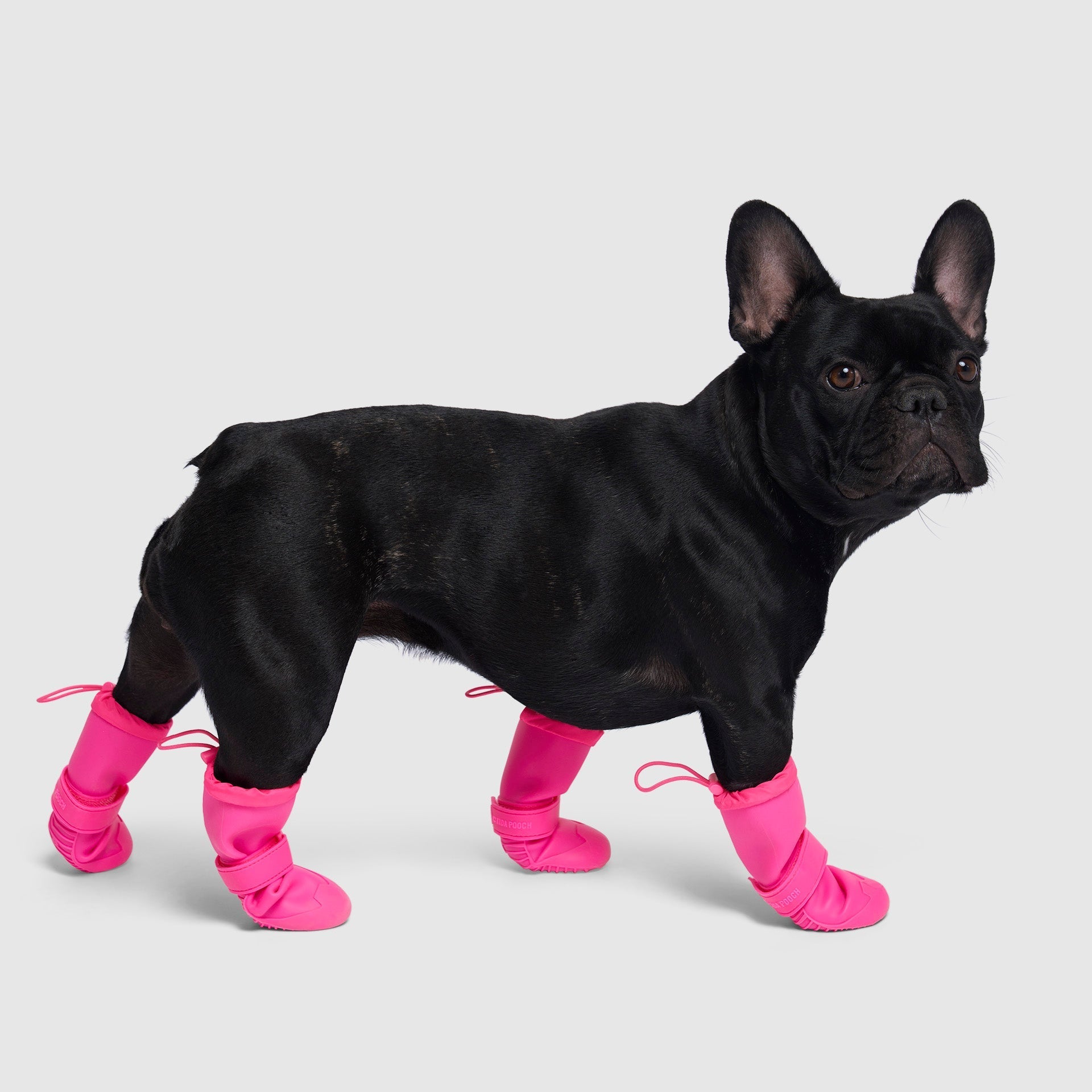 Waterproof Rain Boots - 8YZL