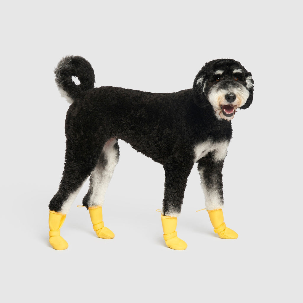 Waterproof Rain Boots - 8YZL