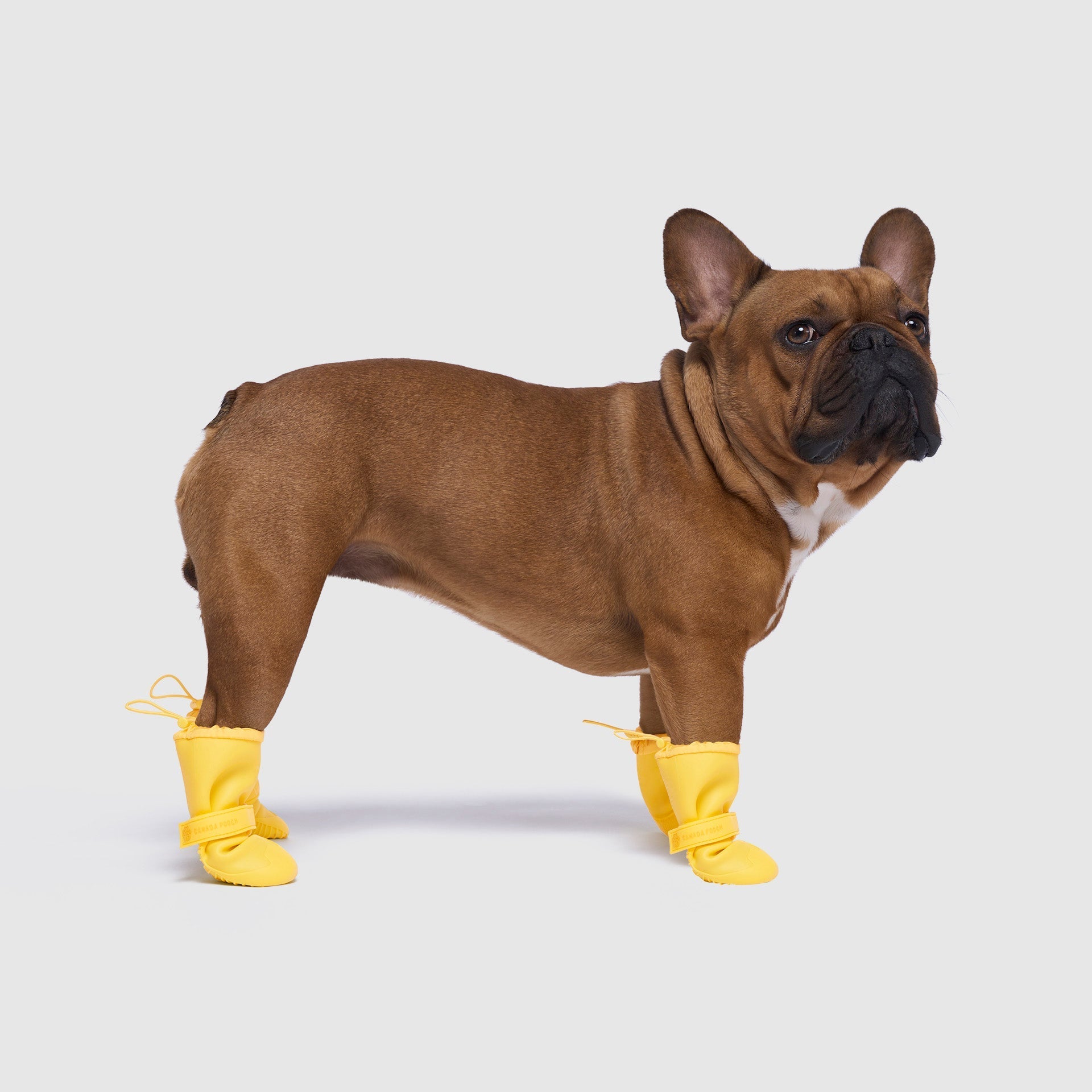 Waterproof Rain Boots - 8YZL