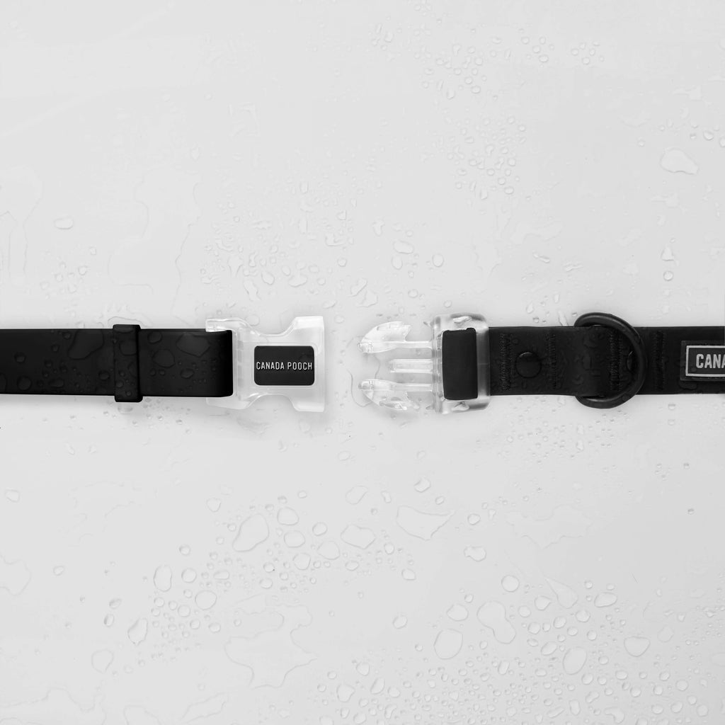 Waterproof Collar - OZMD