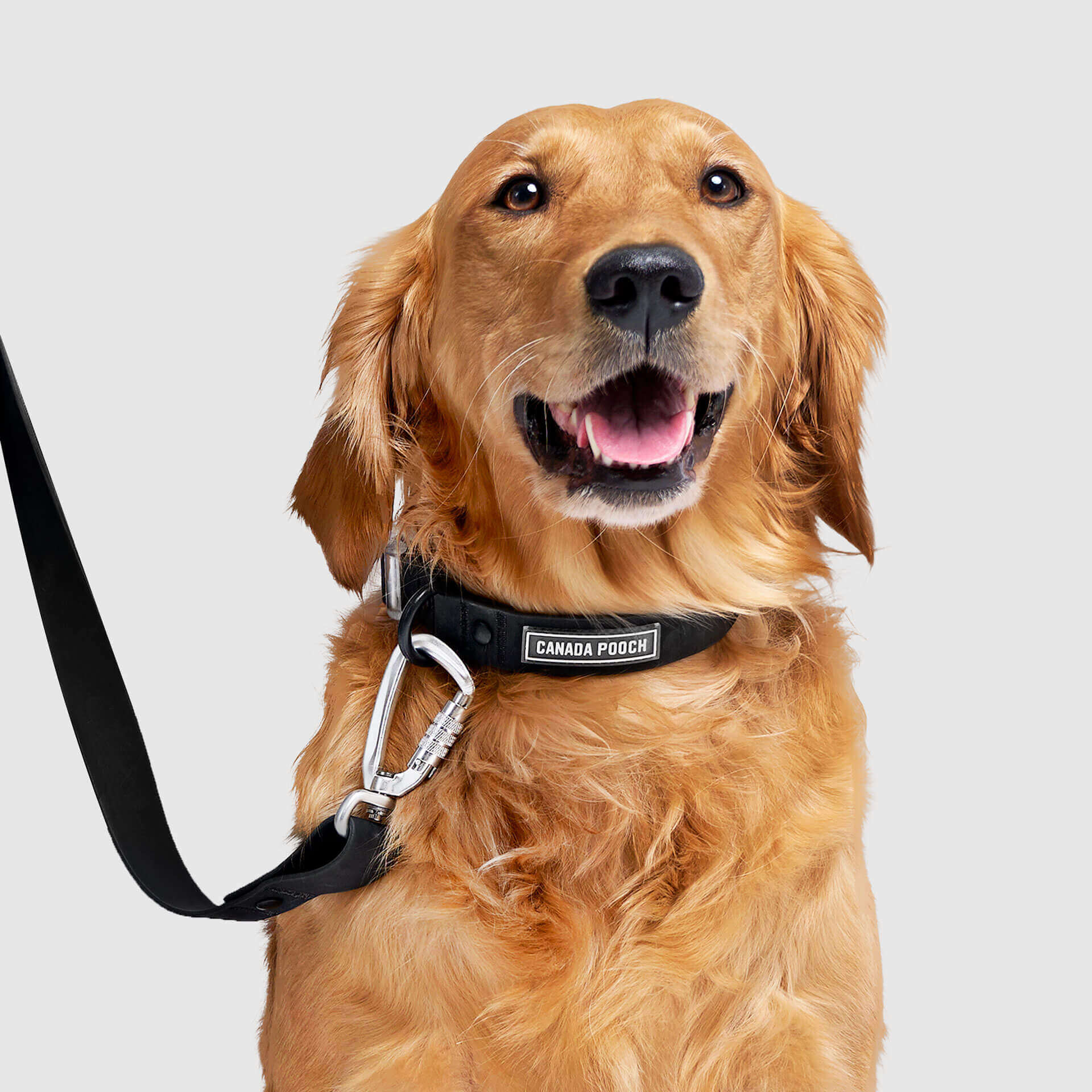Waterproof Collar - OZMD