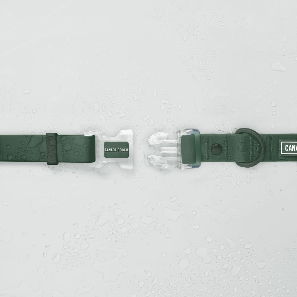 Waterproof Collar - OZMD