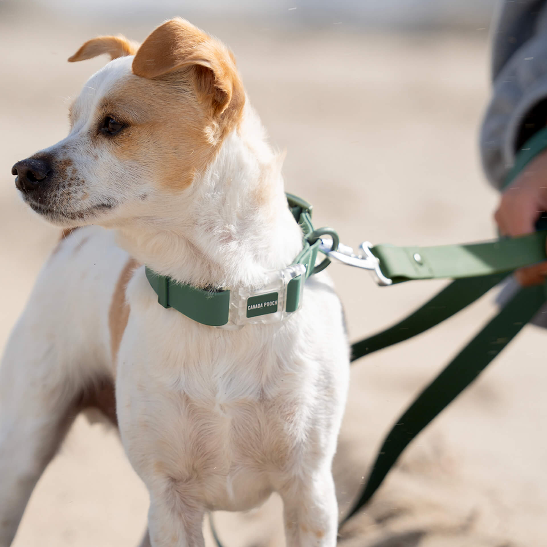 Waterproof Collar - OZMD