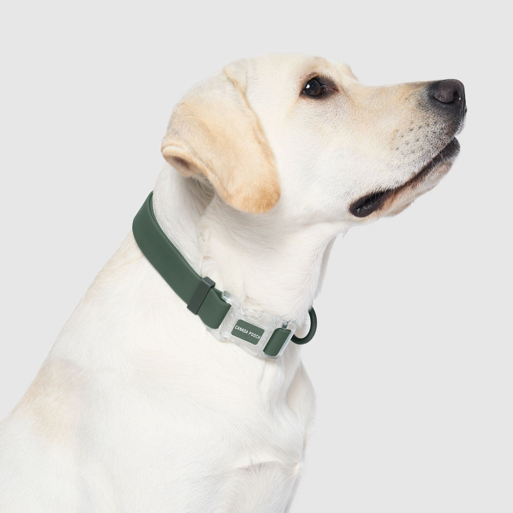 Waterproof Collar - OZMD