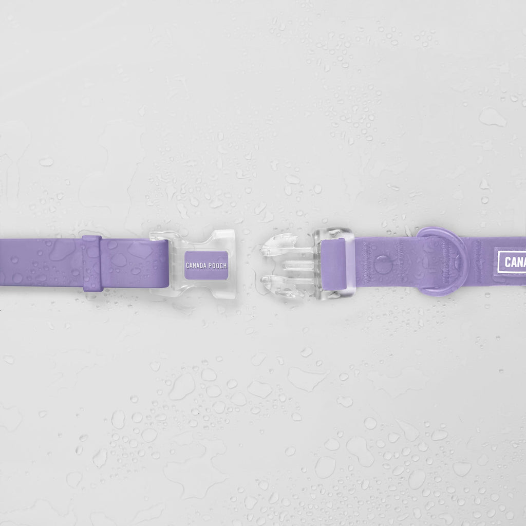 Waterproof Collar - OZMD