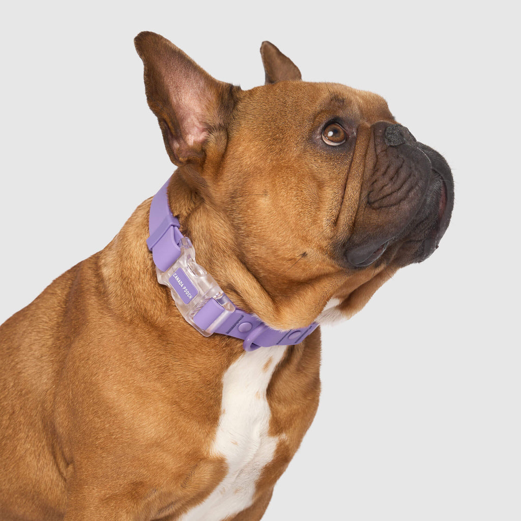 Waterproof Collar - OZMD