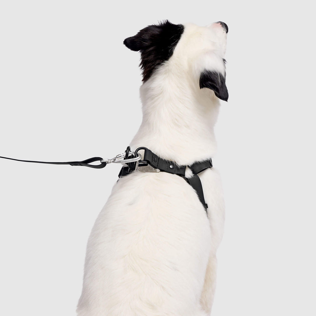 Waterproof Harness - 4IKT