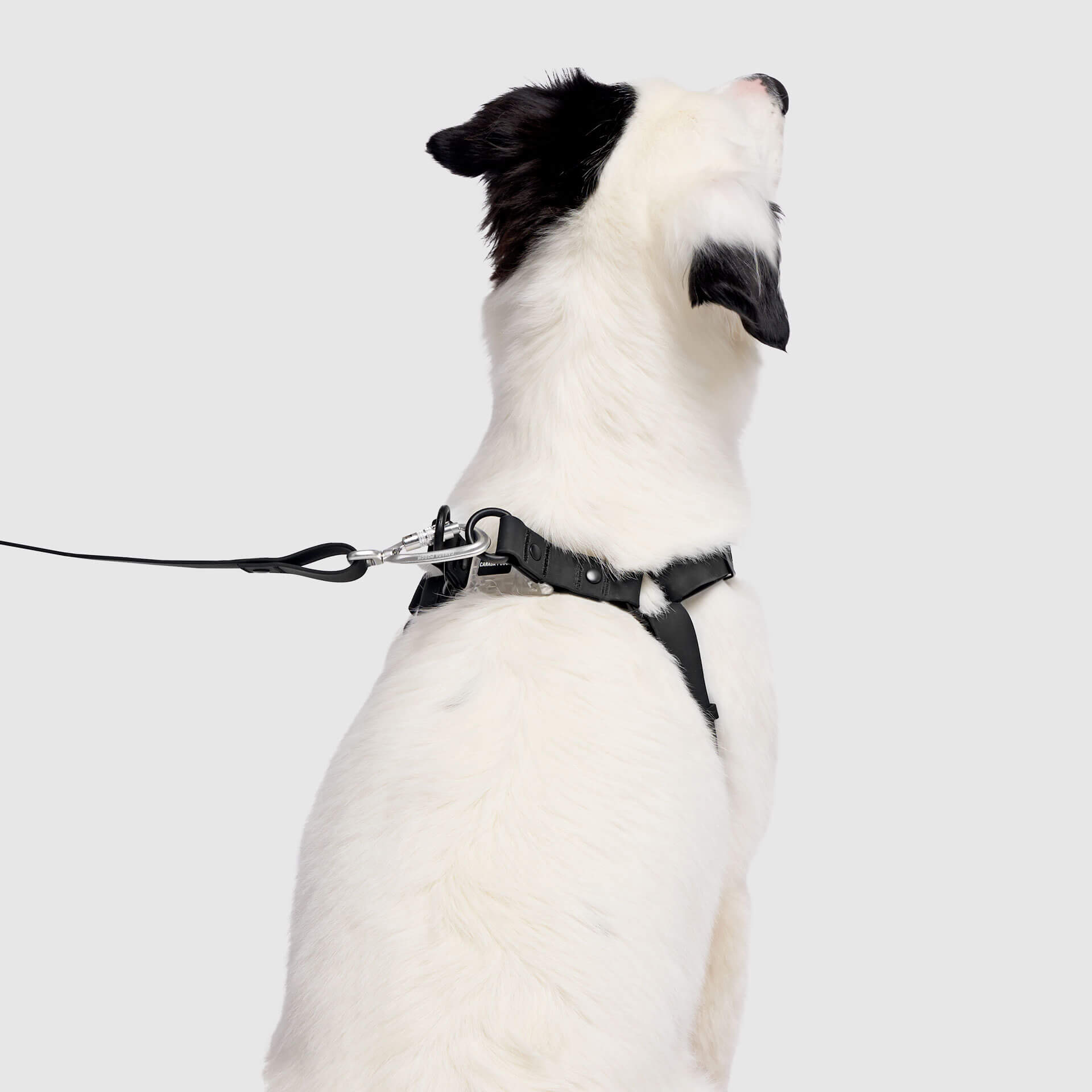 Waterproof Harness - 4IKT