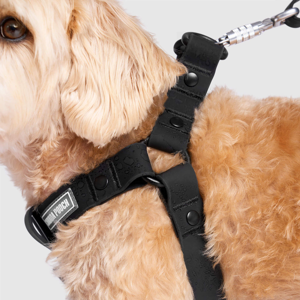 Waterproof Harness - 4IKT