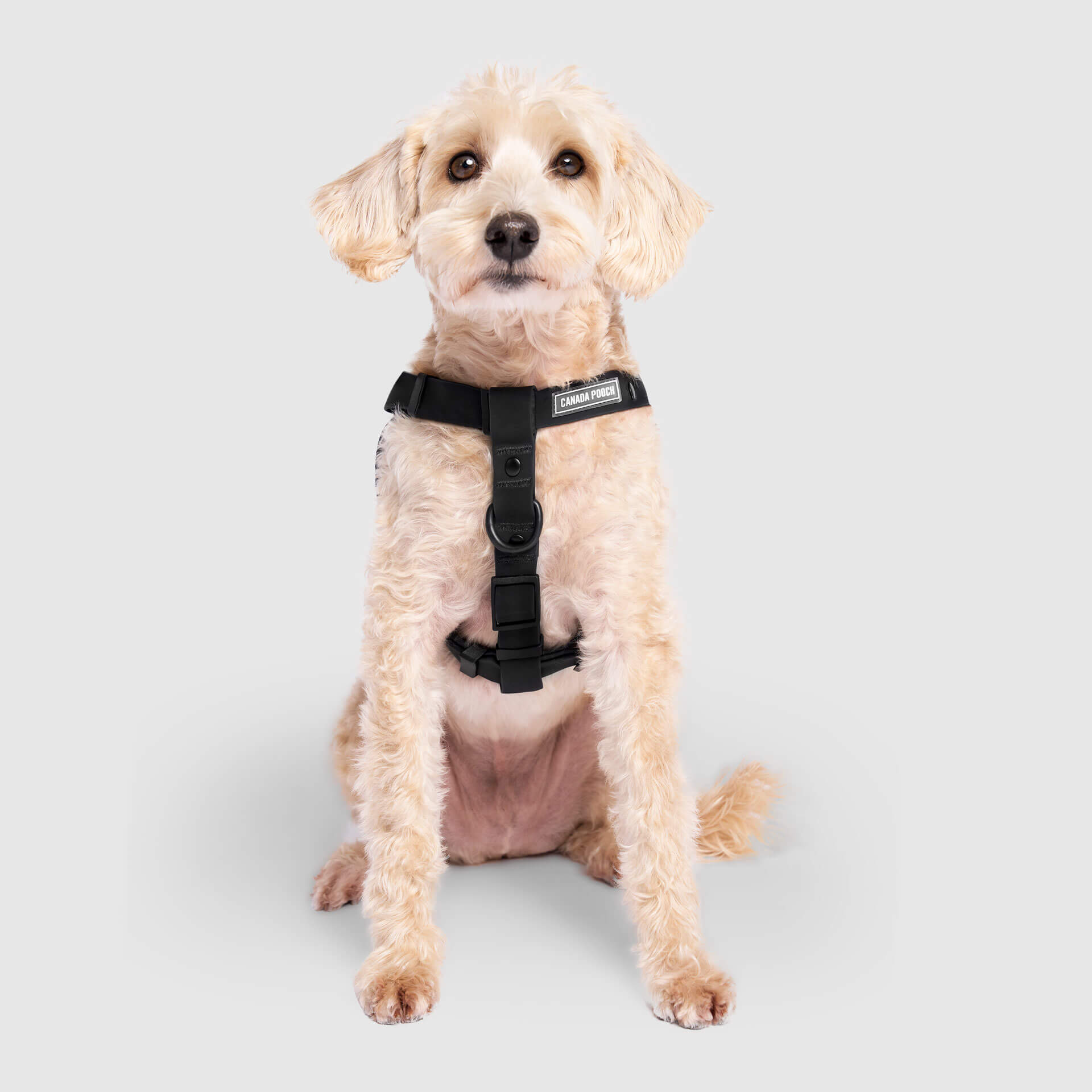 Waterproof Harness - 4IKT