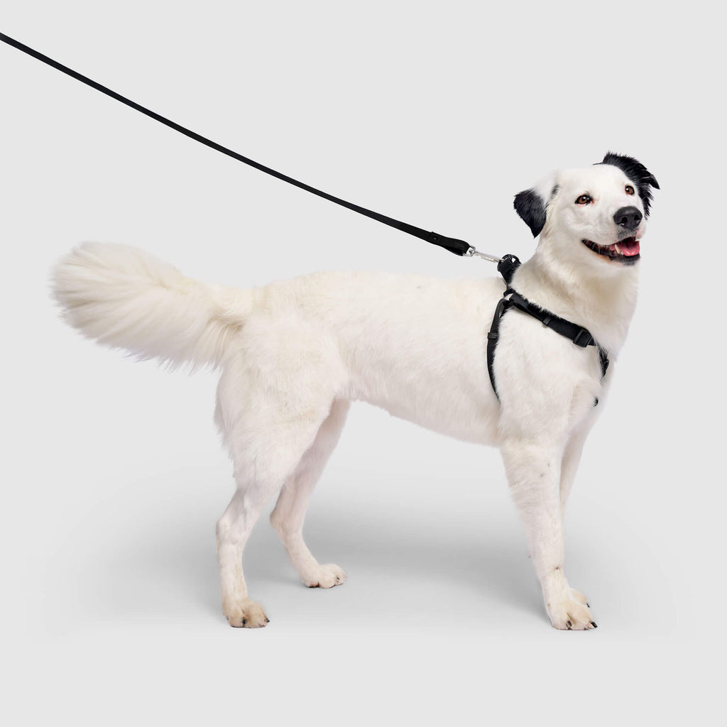 Waterproof Harness - 4IKT