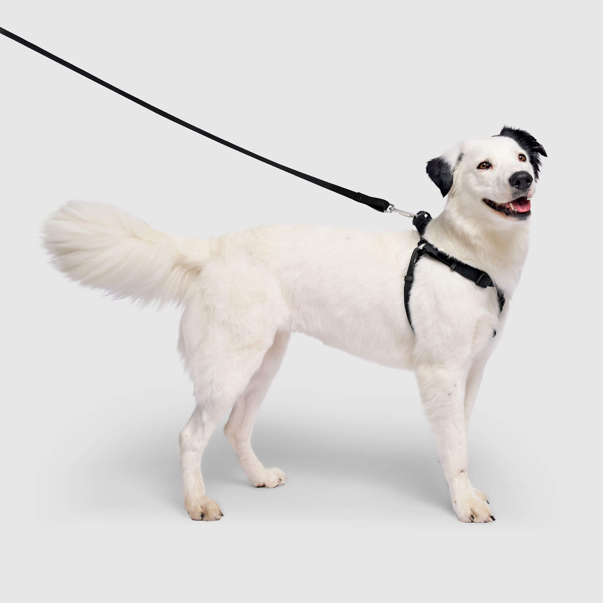 Waterproof Harness - 4IKT