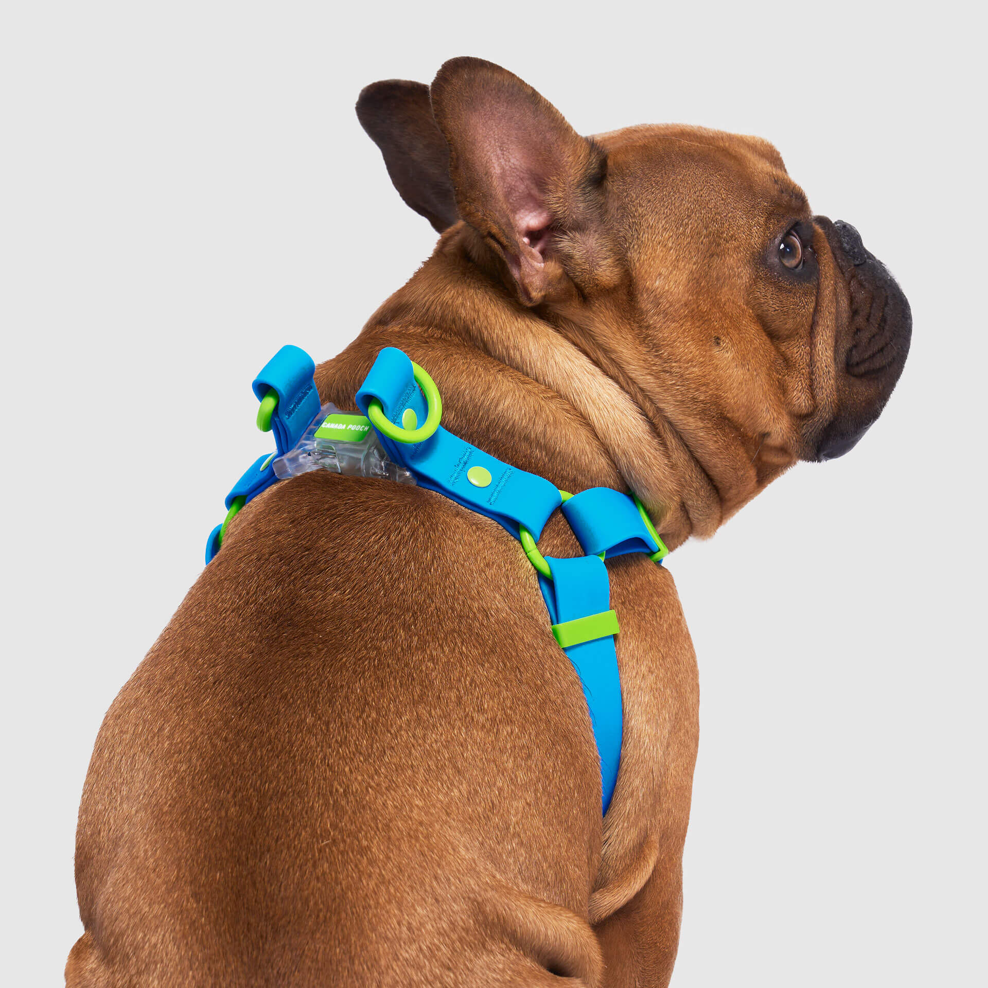 Waterproof Harness - 4IKT