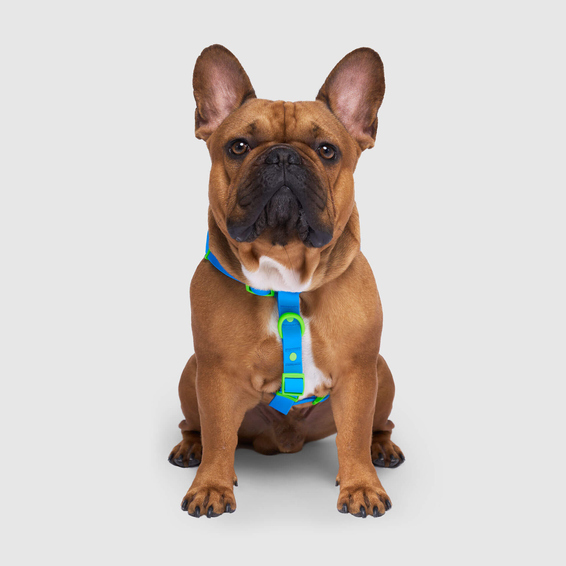 Waterproof Harness - 4IKT