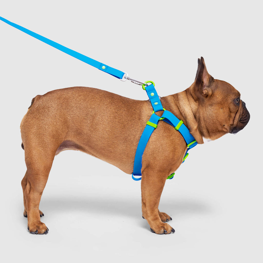 Waterproof Harness - 4IKT