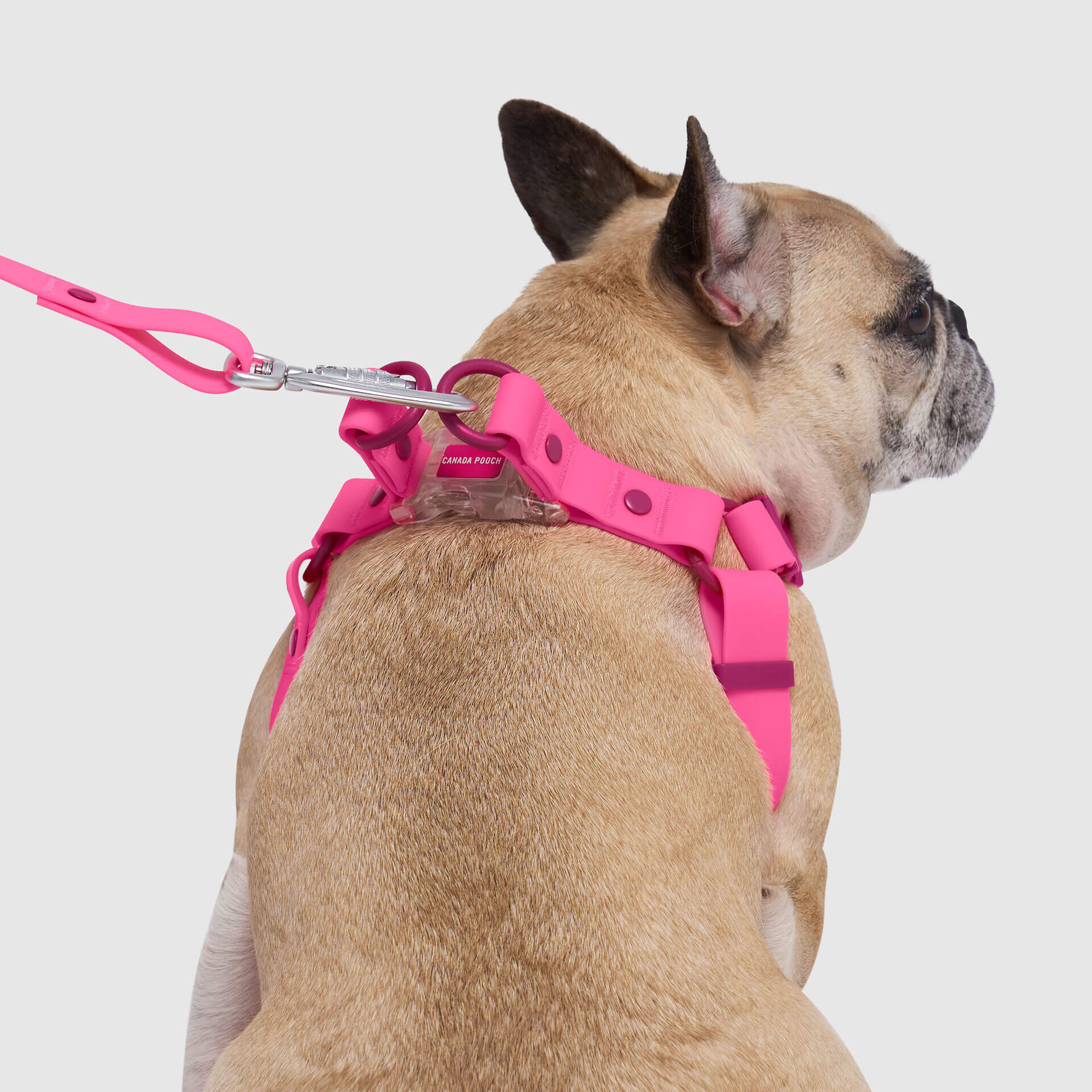 Waterproof Harness - 4IKT