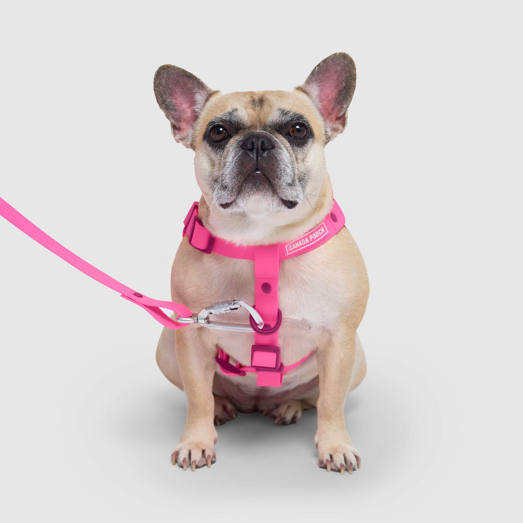 Waterproof Harness - 4IKT